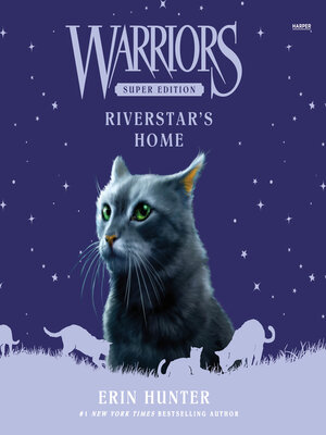 cover image of Riverstar's Home